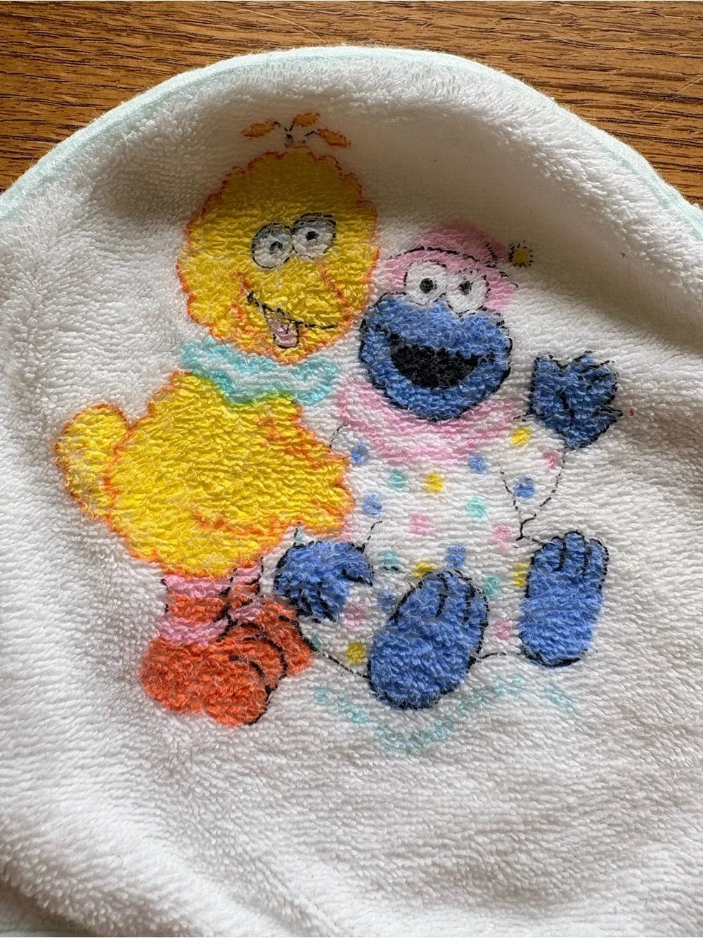 Vintage Sesame Street White Reigel style Hooded Baby Towel